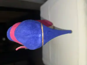 Zapato Go