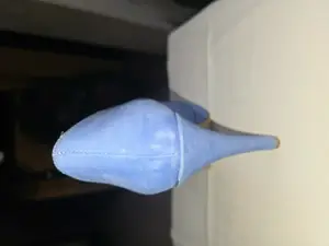 Zapato Guadalupe