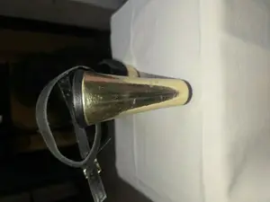 Zapato Dorado